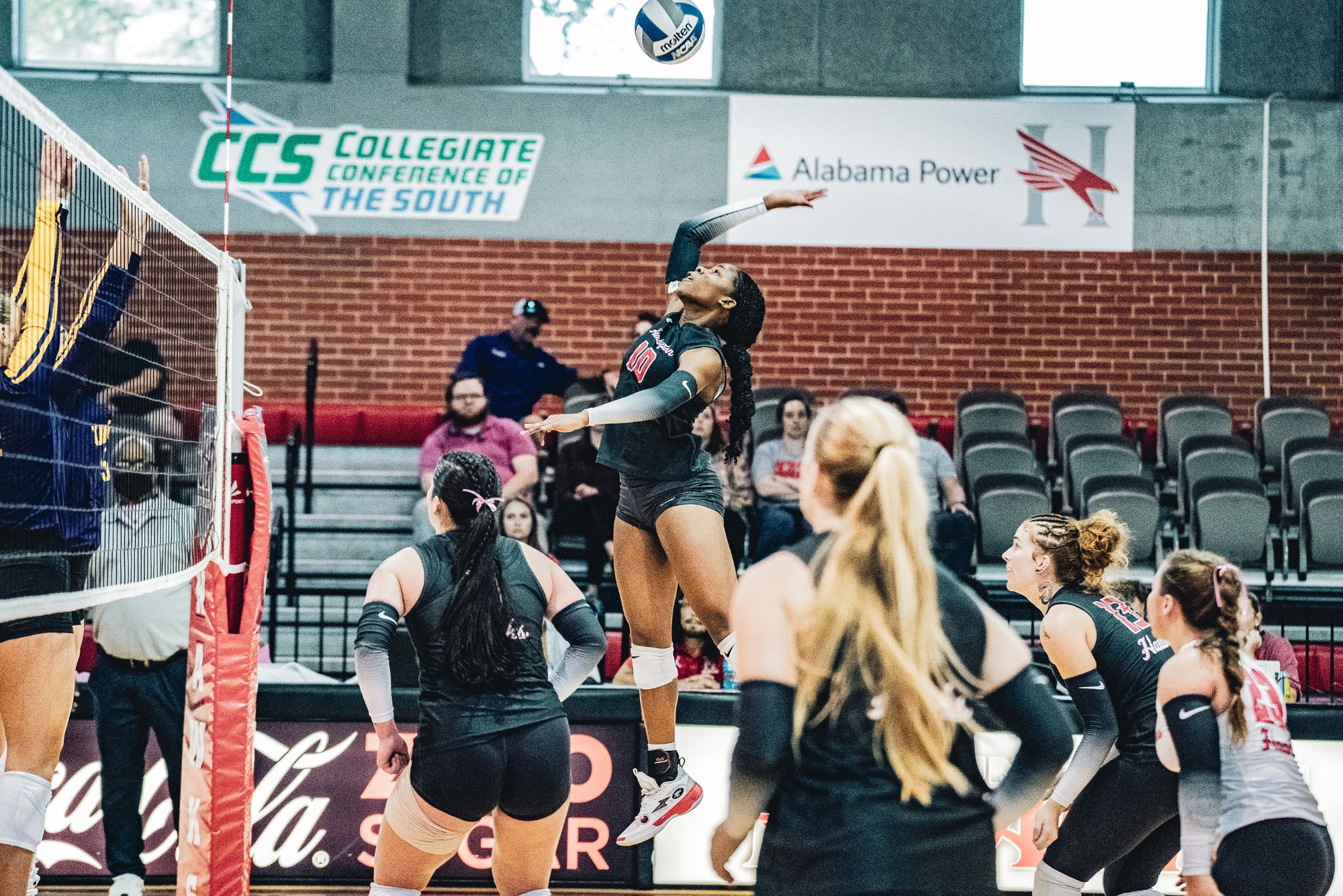 Hawks Sweep Homecoming Tri-Match Against Maryville And Wesleyan