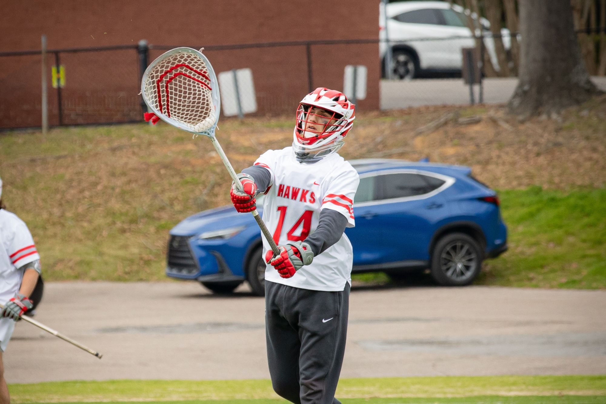 Hawks Drop To Berry On The Road