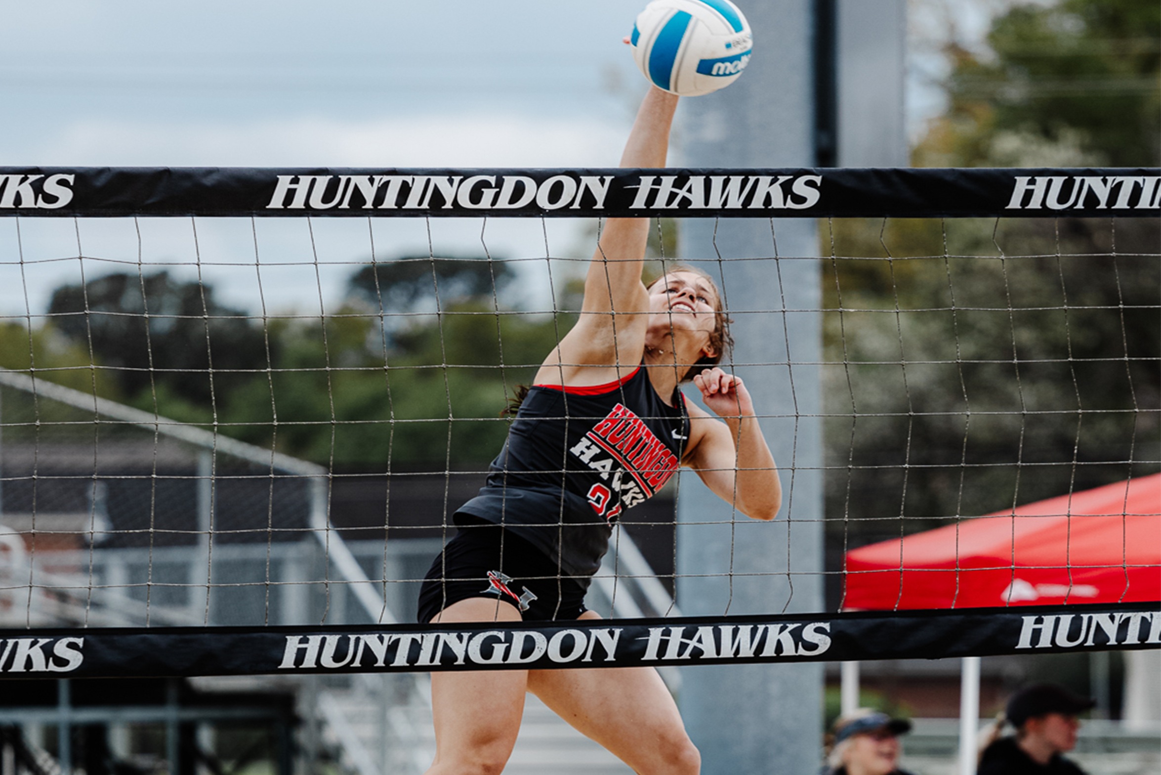 Hawks Advance to AVCA Semifinals