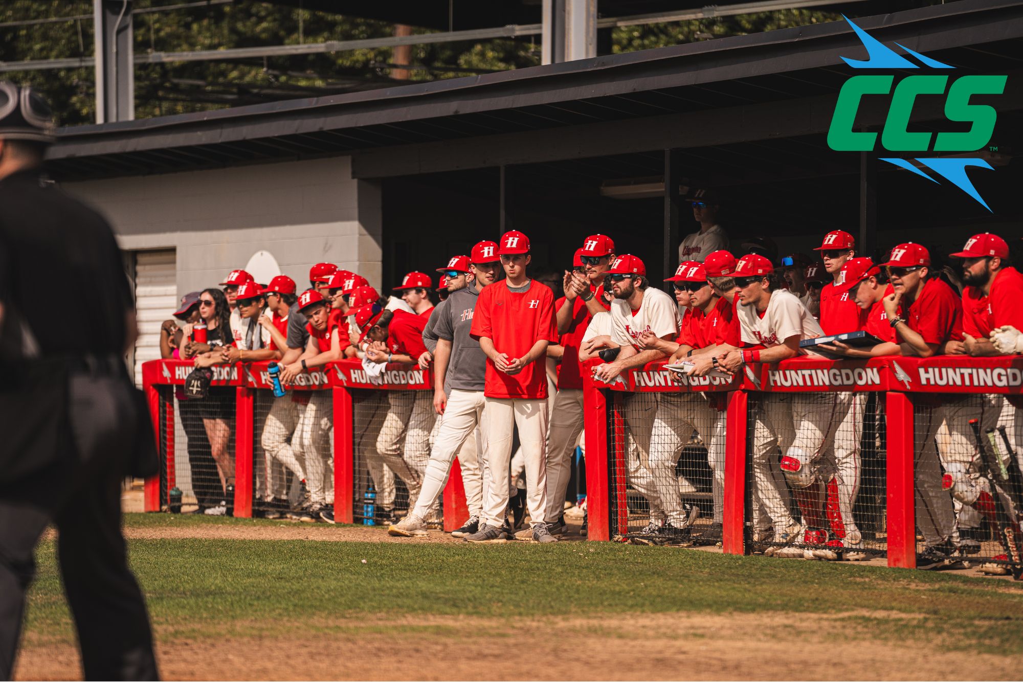 Hawks Take 4th Seed, Set To Battle Maryville In CCS Tournament First Round