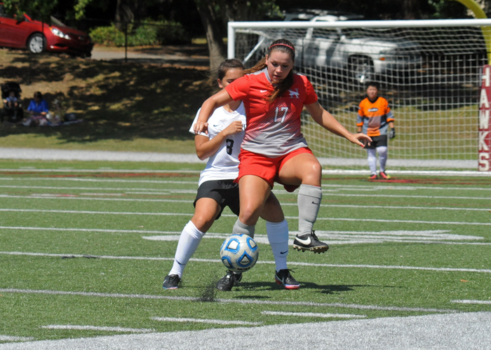 Lady Hawks fall at Greensboro