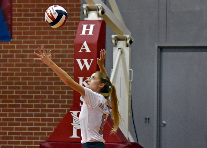 Hawks fall in NAIA tri-match
